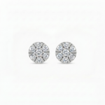 Women's Moissanite Stud Earrings In 925 Sterling Silver.