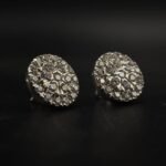 Classic Round Halo Moissanite Cluster Stud Earrings | 925 Sterling Silver