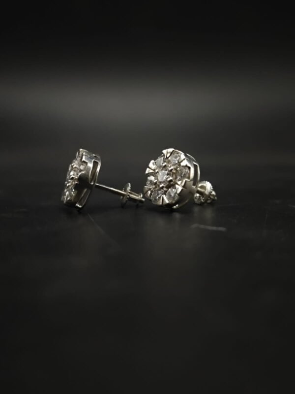 Women's Moissanite Stud Earrings In 925 Sterling Silver.