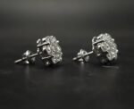 Moissanite Stud Earrings for Women In 925 Sterling Silver