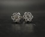 Moissanite Stud Earrings for Women In 925 Sterling Silver