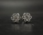 Moissanite Stud Earrings for Women In 925 Sterling Silver