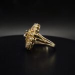 Multi-Layer CZ Cluster Ring